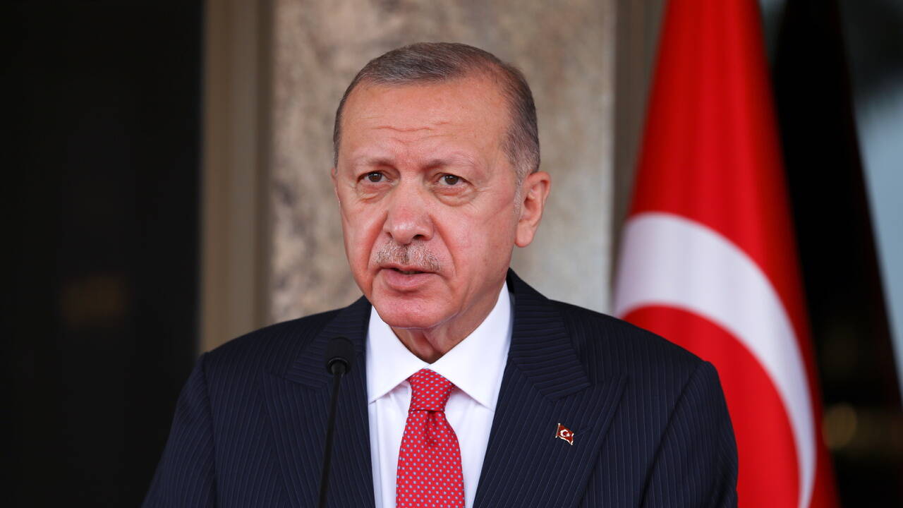 Эрдоган пообещал Путину наладить стамбульский формат переговоров с Украиной