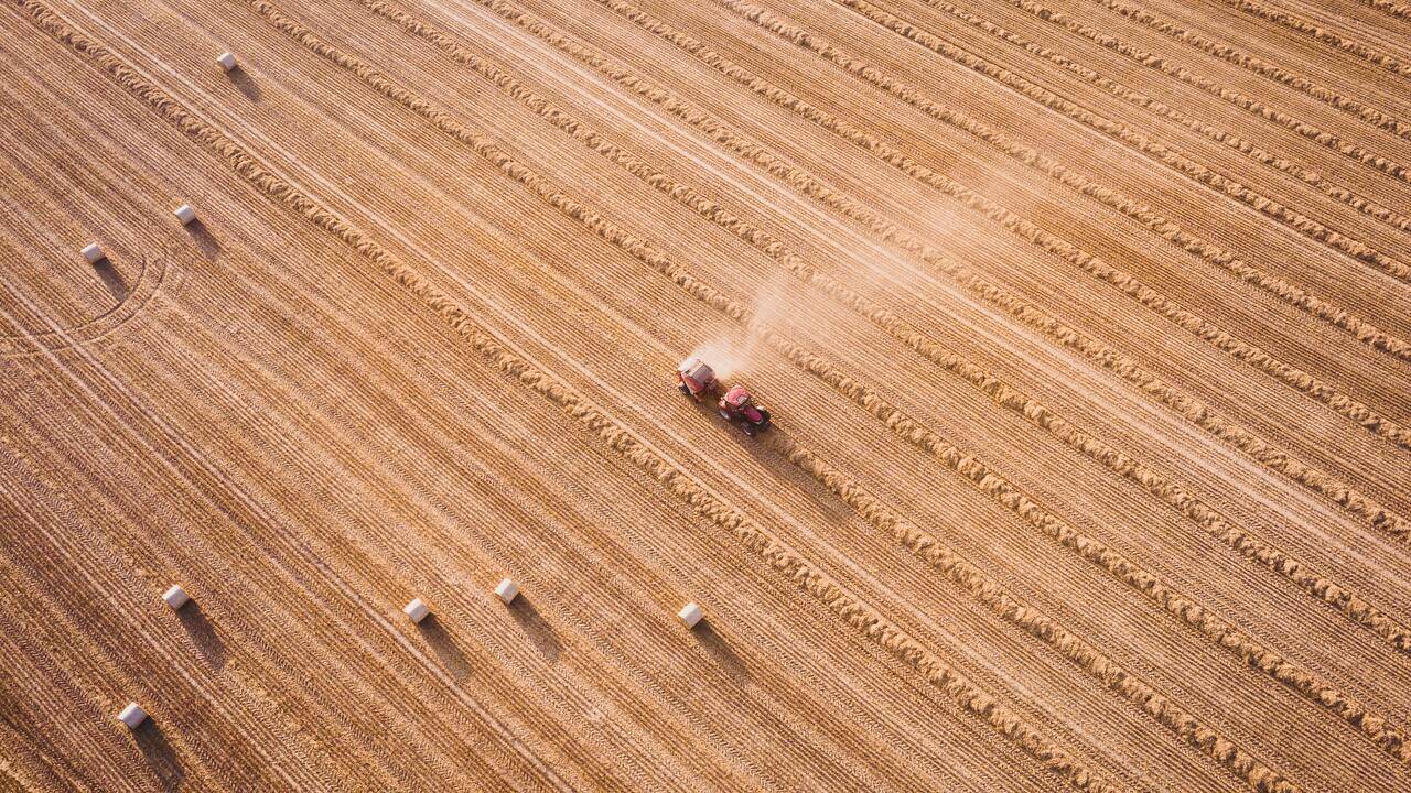 Китайский эксперт назвал провокацией обвинения G7 России в дефиците пшеницы