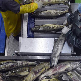 Поставщик «Макдоналдса» закроет рыбный завод
