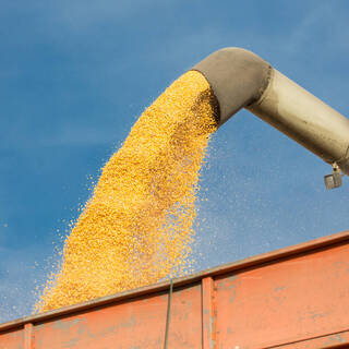 Лавров назвал поставленное Россией условие для вывоза зерна