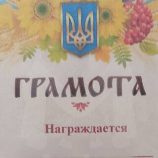 Выдавшего детям грамоты с гербом Украины руководителя детсада в Чите уволили