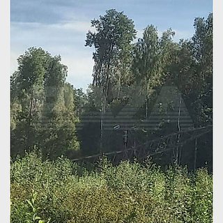 В Брянской области неизвестные взорвали опоры ЛЭП у железной дороги