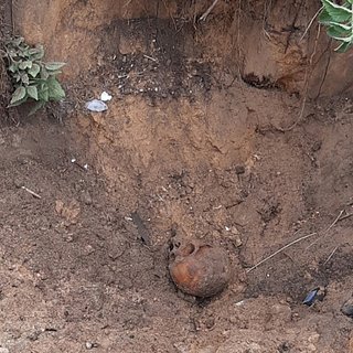 В российском регионе нашли груду костей во время выкапывания ямы для туалета