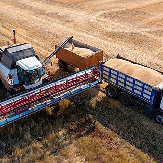 Глава ВТБ предложил запретить западным трейдерам покупать зерно в России