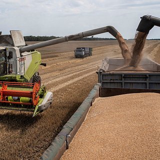 МИД России назвал нерешенным вопрос продления зерновой сделки