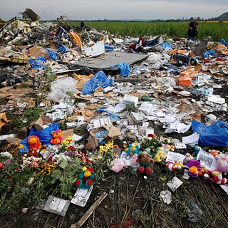 МИД Нидерландов вызовет российского посла из-за реакции на вердикт по делу MH17