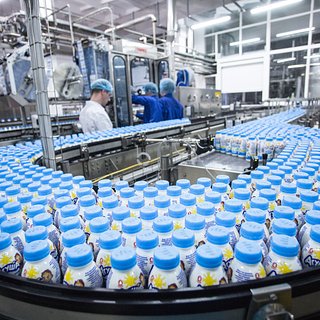 Стало известно о рисках для производства йогуртов в России