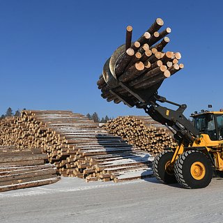 Ситуацию в лесопромышленном комплексе России назвали непростой