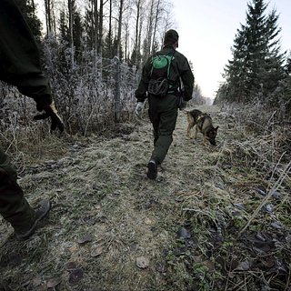 Военный аналитик призвал провести ядерные учения возле границ с Финляндией