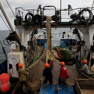 Российские рыбаки не смогли получить обещанную государством помощь