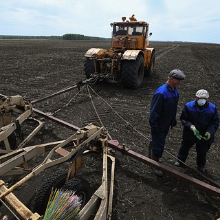 Российские аграрии стали реже закупать отечественную технику