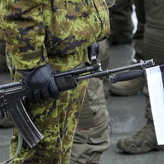 Эстония назвала размер армии в случае мобилизации