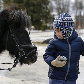 В российском городе пони напал на семилетнего мальчика