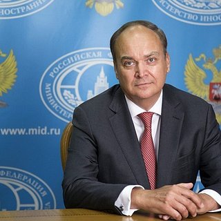 Фото: Russian Embassy in the USA / Globallookpress.com