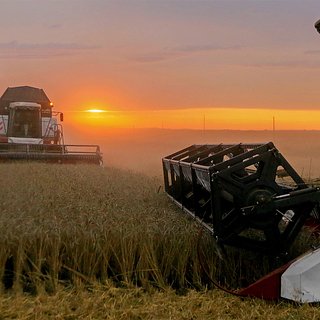 Евросоюз заявил о поиске путей возвращения России в зерновую сделку