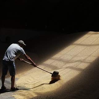 В России высказались о возобновлении зерновой сделки после саммита G20