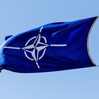 В США предсказали распад НАТО через пять-десять лет