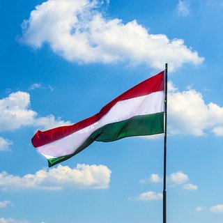 Венгрия отказалась выдавать Украине сбежавших из страны уклонистов