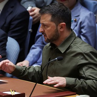 Зеленского призвали остановить после «бредового» обвинения в адрес Польши