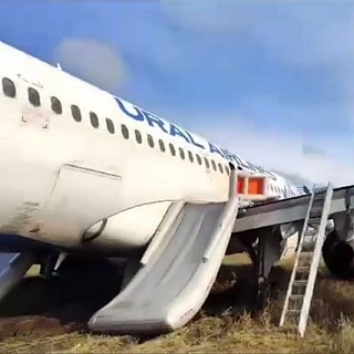 Раскрыта судьба аварийно севшего в поле под Новосибирском самолета