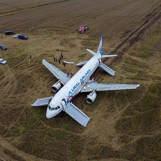Предложен вариант эвакуации севшего в поле самолета «Уральских авиалиний»