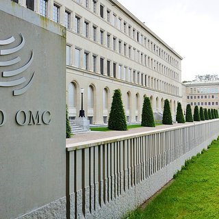 Украина приостановила ход жалобы в ВТО на Польшу, Венгрию и Словакию