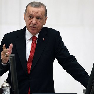 Эрдоган призвал президента Израиля к здравому смыслу