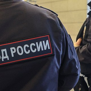 Школьник попытался пронести боеприпас на территорию Кремля