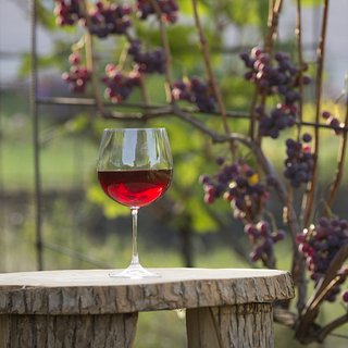 Латвия стала одним из крупнейших поставщиков вина в Россию