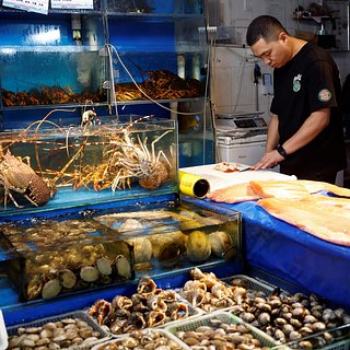 Япония упрекнула Россию в несправедливости из-за запрета на ввоз рыбы. Чем опасен импорт японских морепродуктов?