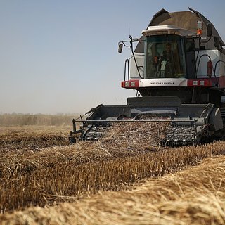 В России усилилась нехватка рабочих для сельского хозяйства