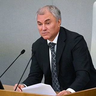Володин раскритиковал идеи депутатов Госдумы по повышению рождаемости