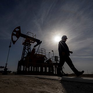 Главный покупатель российской нефти переключился на Венесуэлу