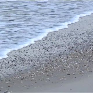 Загадочные черные шары вынесло на пляж в США