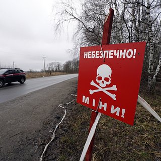 Стало известно о подрыве украинских военных на собственном минном поле