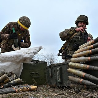 На Украине оценили срок начала производства снарядов вместе с США