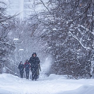 Жители российского города остались без трамваев в 40-градусный мороз