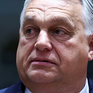 Депутат Верховной Рады назвал Орбана «петухом»