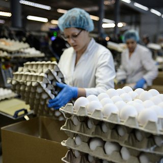 В одной стране собрались обеспечить Россию яйцами
