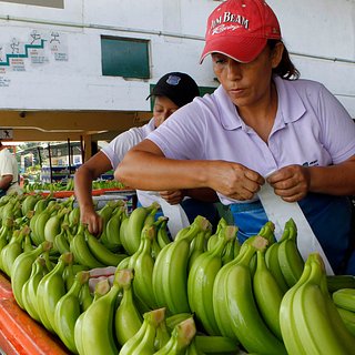 Компаниям из Эквадора вернули право поставлять в Россию бананы