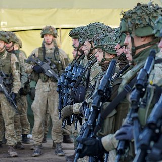 В Литве заявили о возможности отправки военных на Украину