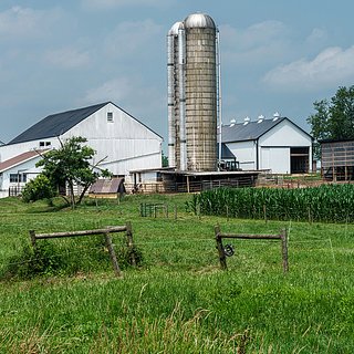 Фермеры из США предупредили о кризисе в стране из-за инфляции