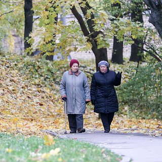 В России предложили платить пенсию в два прожиточных минимума ряду граждан