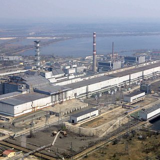 Чернобыльские черви оказались невосприимчивы к радиации