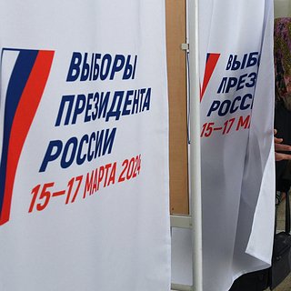 В ЕС захотели дать оценку президентским выборам в России