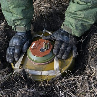 В России создадут робот-перевертыш «Ежик-М» для минирования