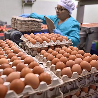 Производителей яиц в России предостерегли от пасхального роста цен