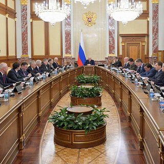 Фото: Russian Government / Globallookpress.com