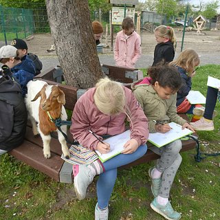 В школах одной из земель Германии ввели изучение украинского языка
