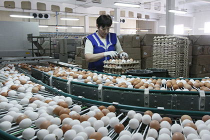 В России резко подешевели яйца